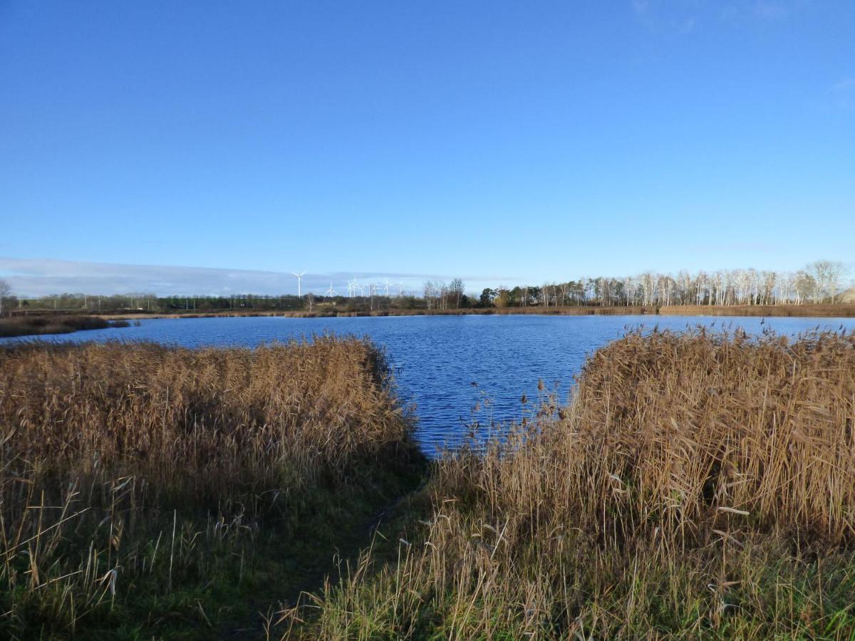 Uckermark "Ferienwohnung Sommerfugl " Passow  Εξωτερικό φωτογραφία
