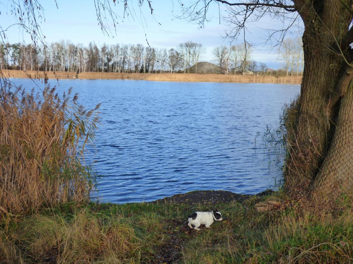 Uckermark "Ferienwohnung Sommerfugl " Passow  Εξωτερικό φωτογραφία